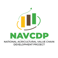 NAVCDP logo